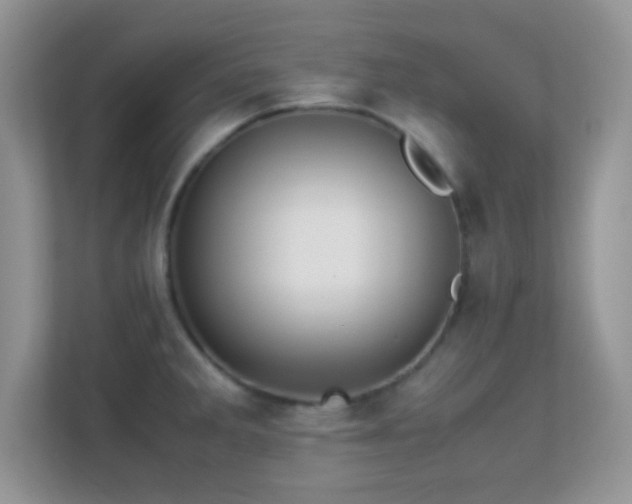 X0000113561285200909251051
