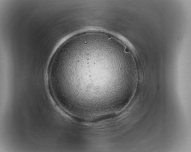 X0000113561287200909251051