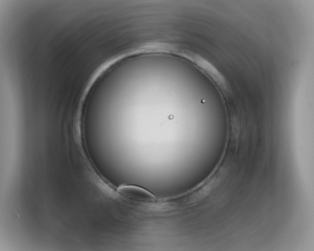 X0000113561288200909251051