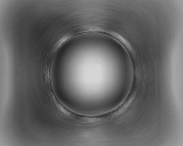 X0000113561289200909251051