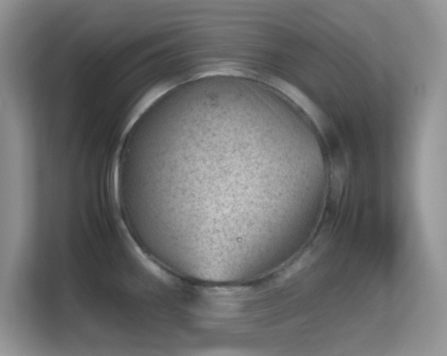X0000113561290200909251051