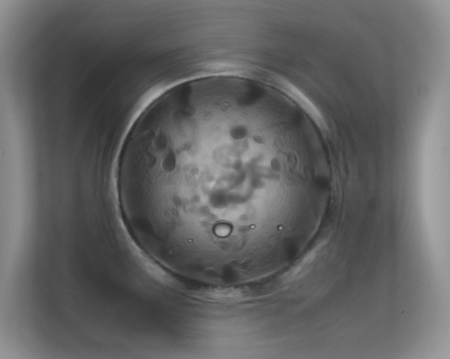 X0000113561291200909251051