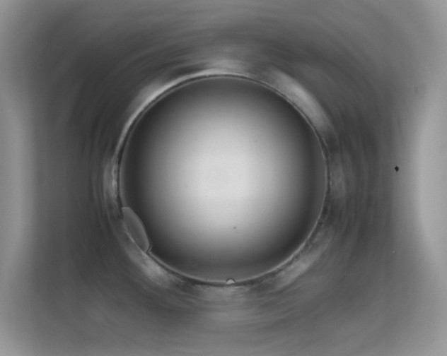 X0000113561292200909251051