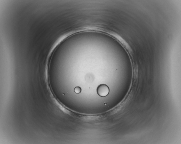 X0000113561294200909251051