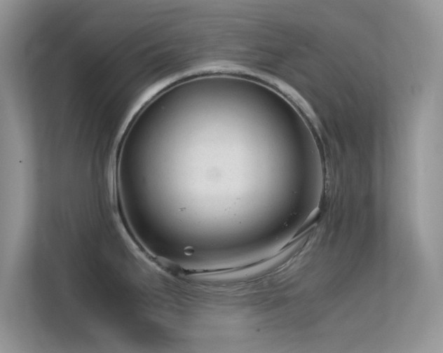 X0000113561295200909251051