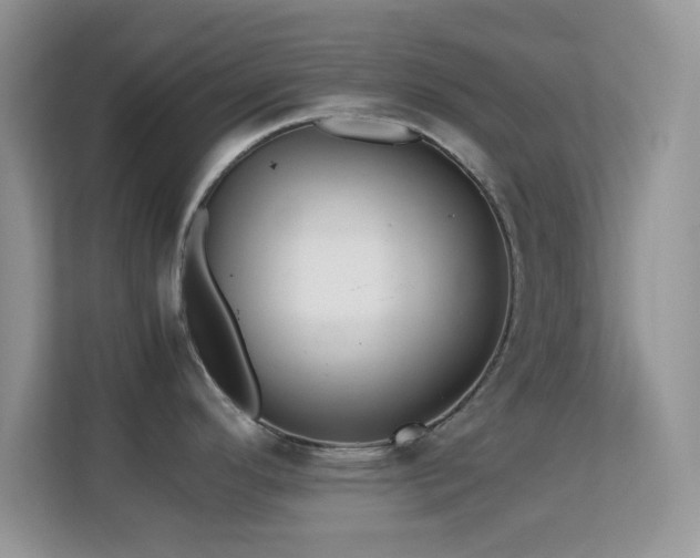 X0000113561296200909251051