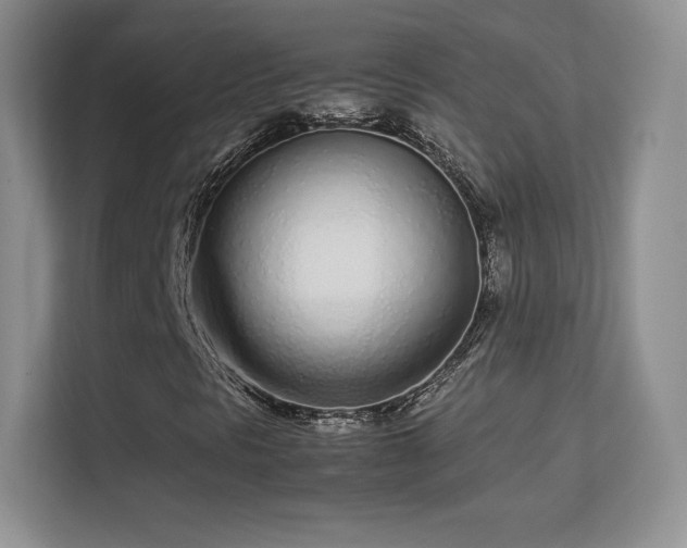 X0000113561297200909251050