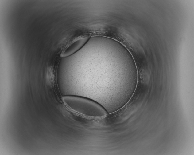 X0000113561298200909251050