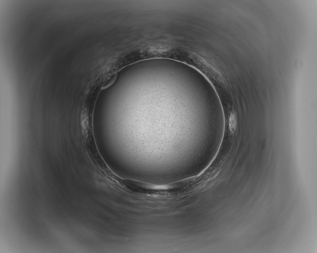 X0000113561299200909251050