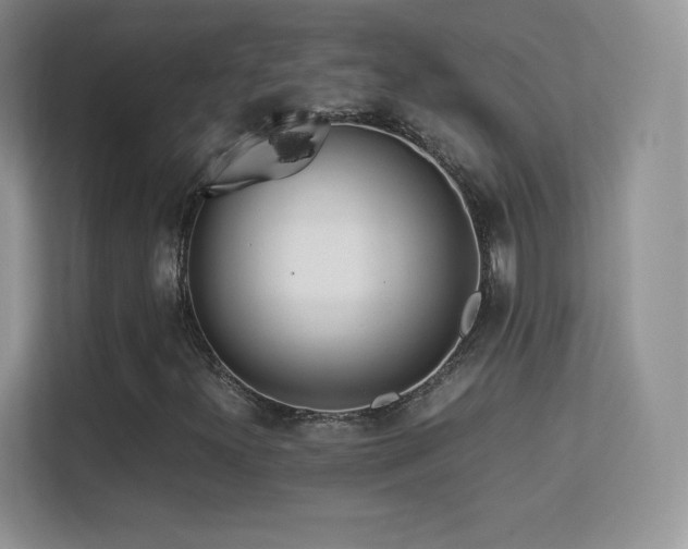 X0000113561300200909251050