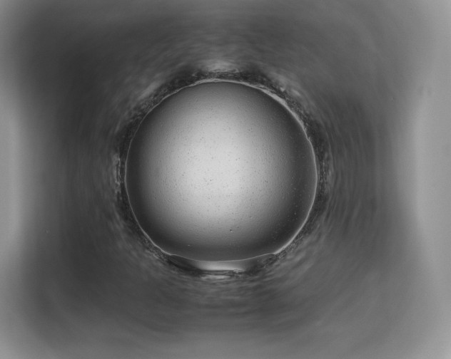 X0000113561301200909251050