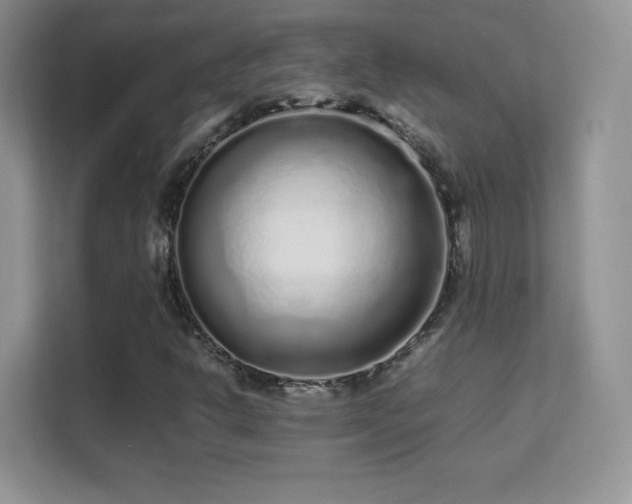 X0000113561302200909251050