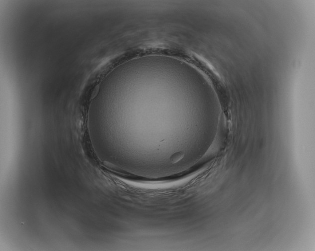 X0000113561303200909251050