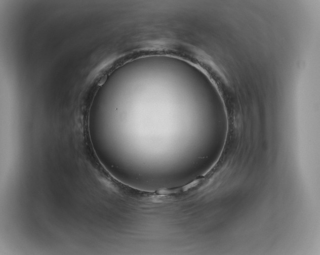 X0000113561304200909251050