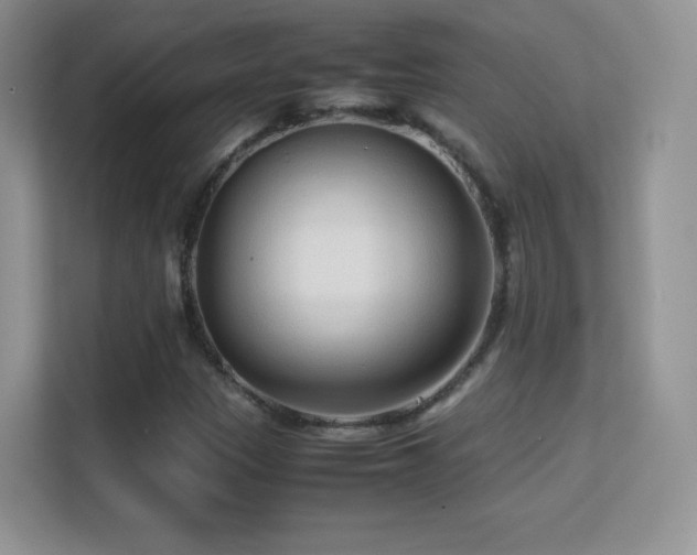X0000113561305200909251050