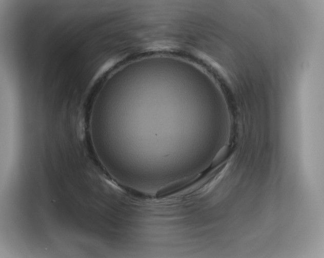 X0000113561306200909251050