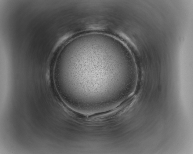 X0000113561307200909251050