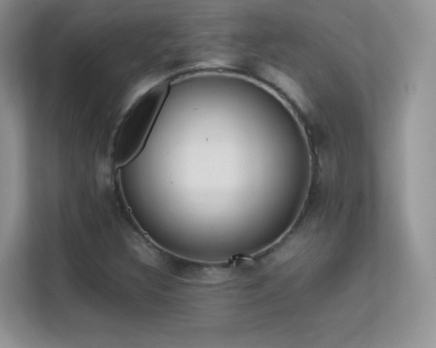 X0000113561308200909251050