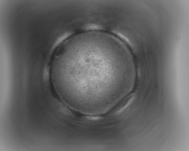 X0000113561309200909251050