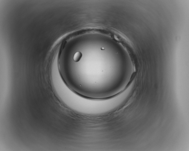 X0000113561310200909251050