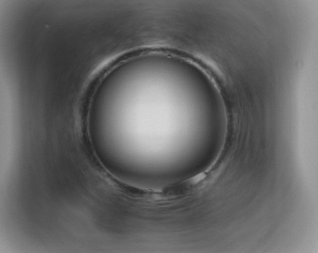 X0000113561311200909251050