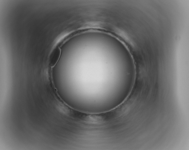 X0000113561312200909251050