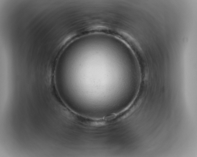 X0000113561313200909251050