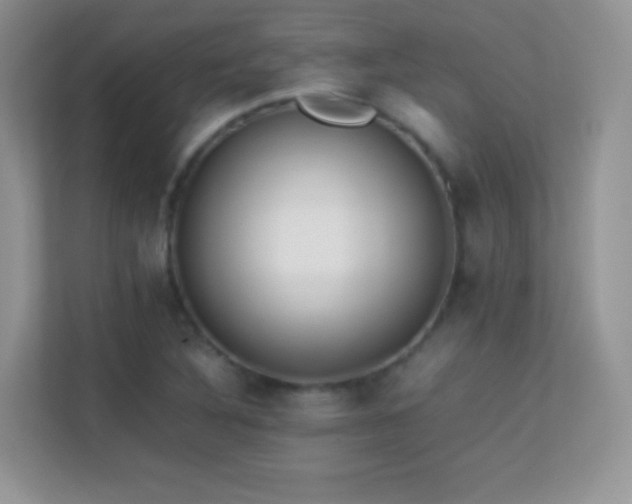 X0000113561316200909251050