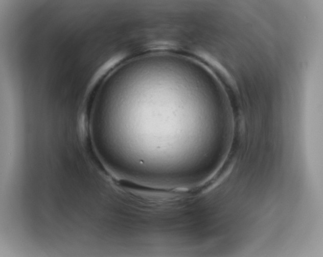 X0000113561317200909251050