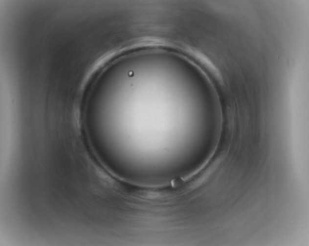 X0000113561318200909251050