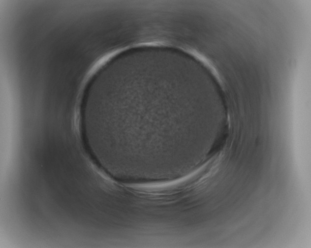 X0000113561319200909251050
