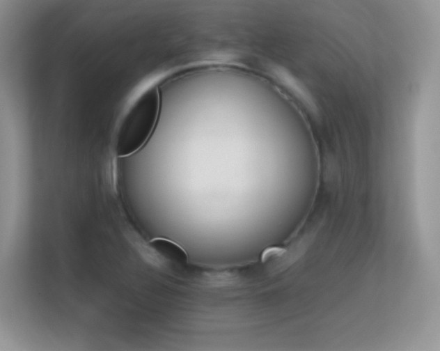 X0000113561320200909251050