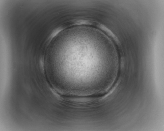 X0000113561321200909251050