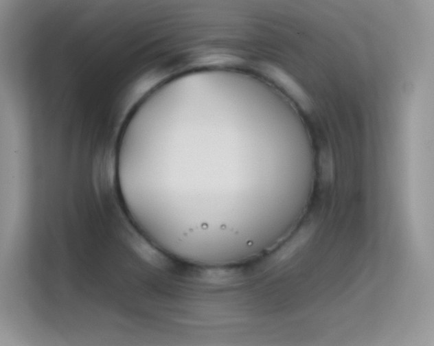 X0000113561322200909251050