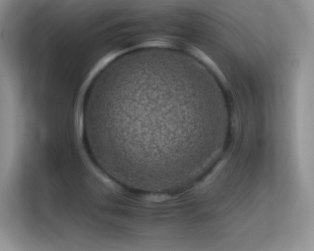 X0000113561323200909251050