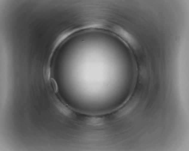 X0000113561324200909251050