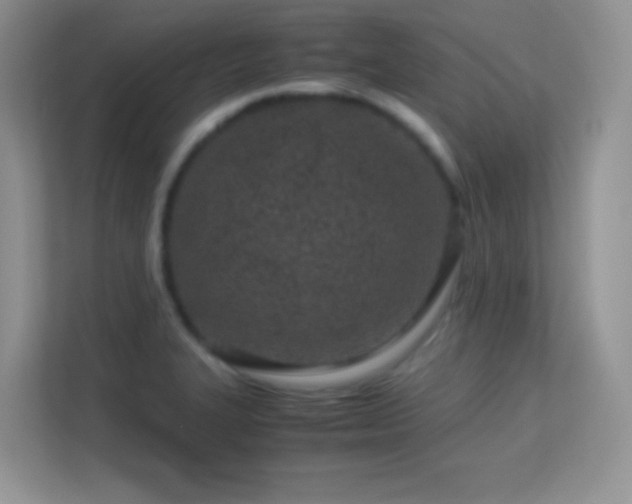 X0000113561327200909251050