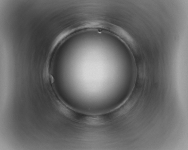 X0000113561328200909251050