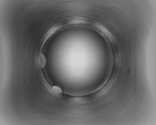 X0000113561330200909251050