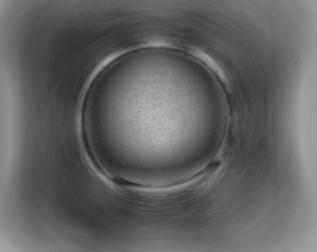 X0000113561331200909251050
