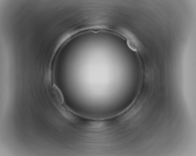 X0000113561332200909251050