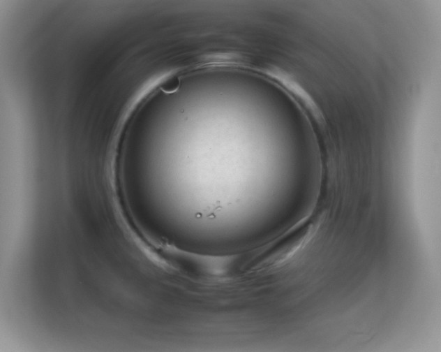 X0000113561333200909251050