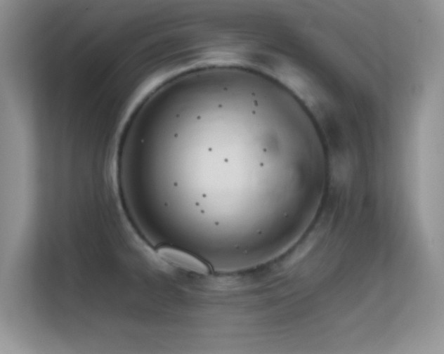 X0000113561334200909251050