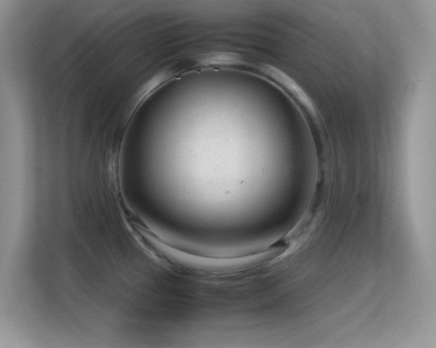 X0000113561337200909251051