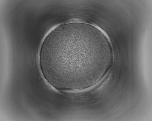 X0000113561341200909251051