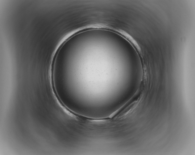X0000113561343200909251051