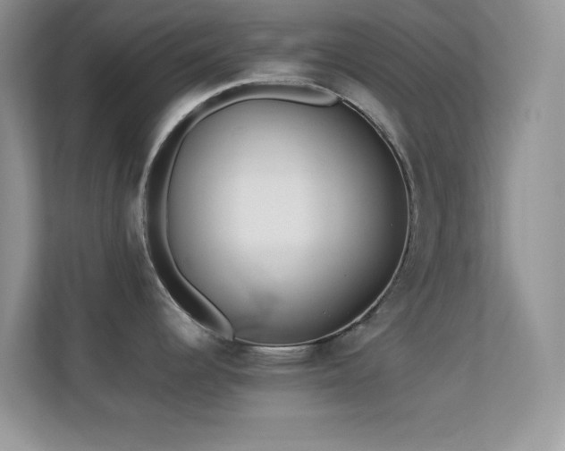X0000113561344200909251051