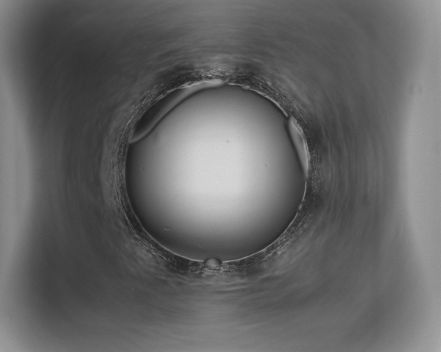 X0000113561345200909251050