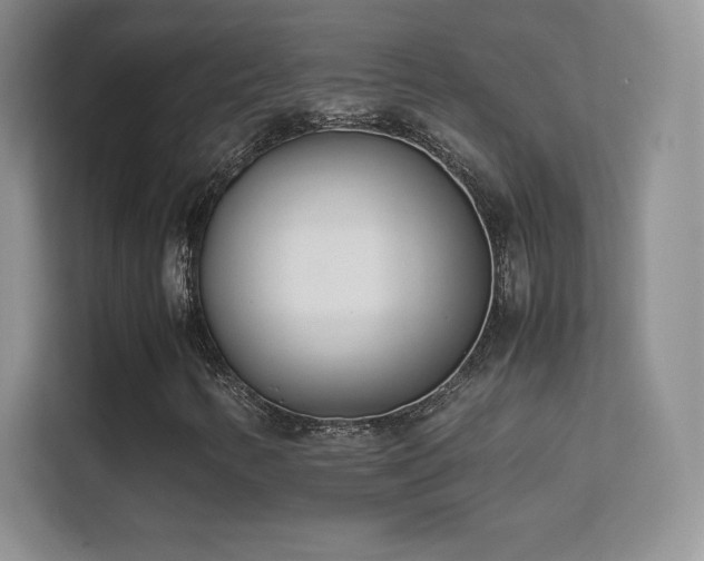 X0000113561346200909251050