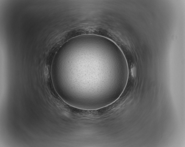 X0000113561347200909251050